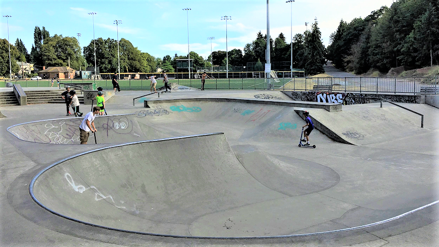 Lower Woodland Skate Bowl