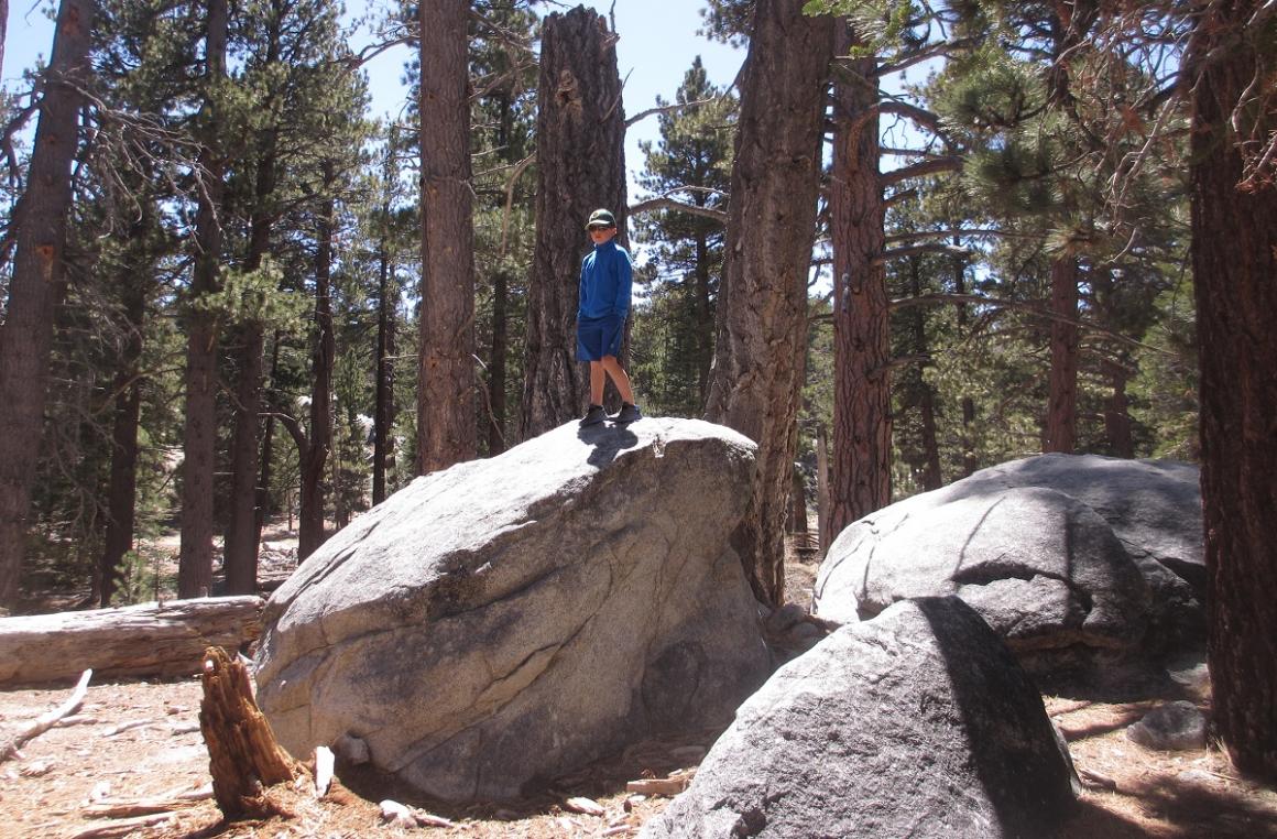 Hiking at the top of the Palm Springs aerial tramway best sunny destinations for Seattle families with kids