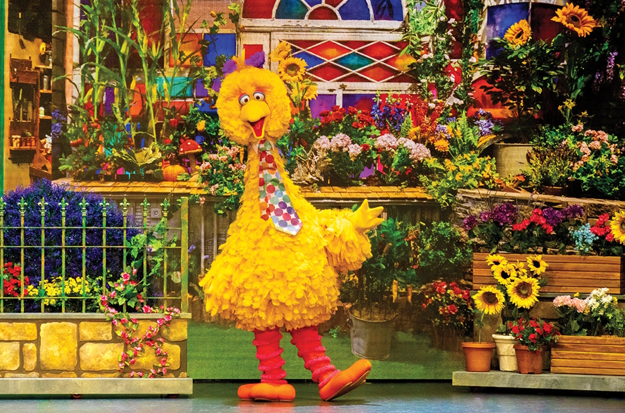 Big Bird in Sesame Street Live: Elmo and Friends Say Hello