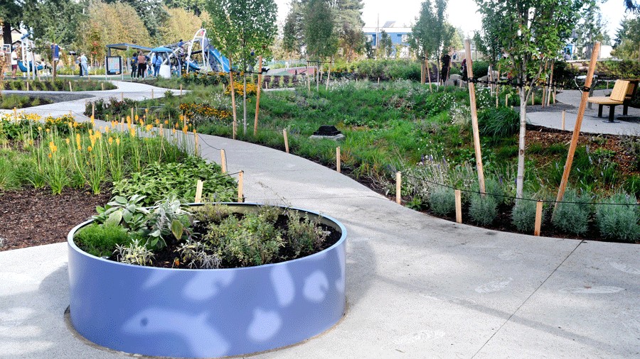 winding path through the sensory garden to the playground at shoreline's new richmond highlands park