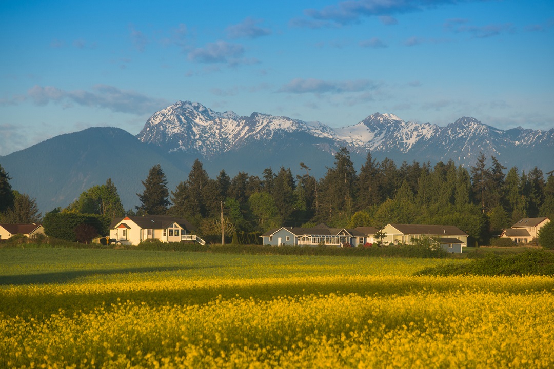 olympic mountain range as seen from the town of Sequim in the rain shadow on Washington's Olympic Peninsula getaway destination from Seattle