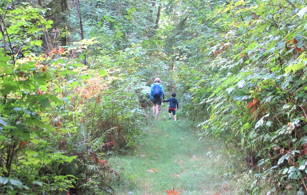 Upland trails at Shadow Lake Nature Preserve