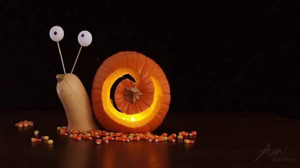 Pumpkin-snail