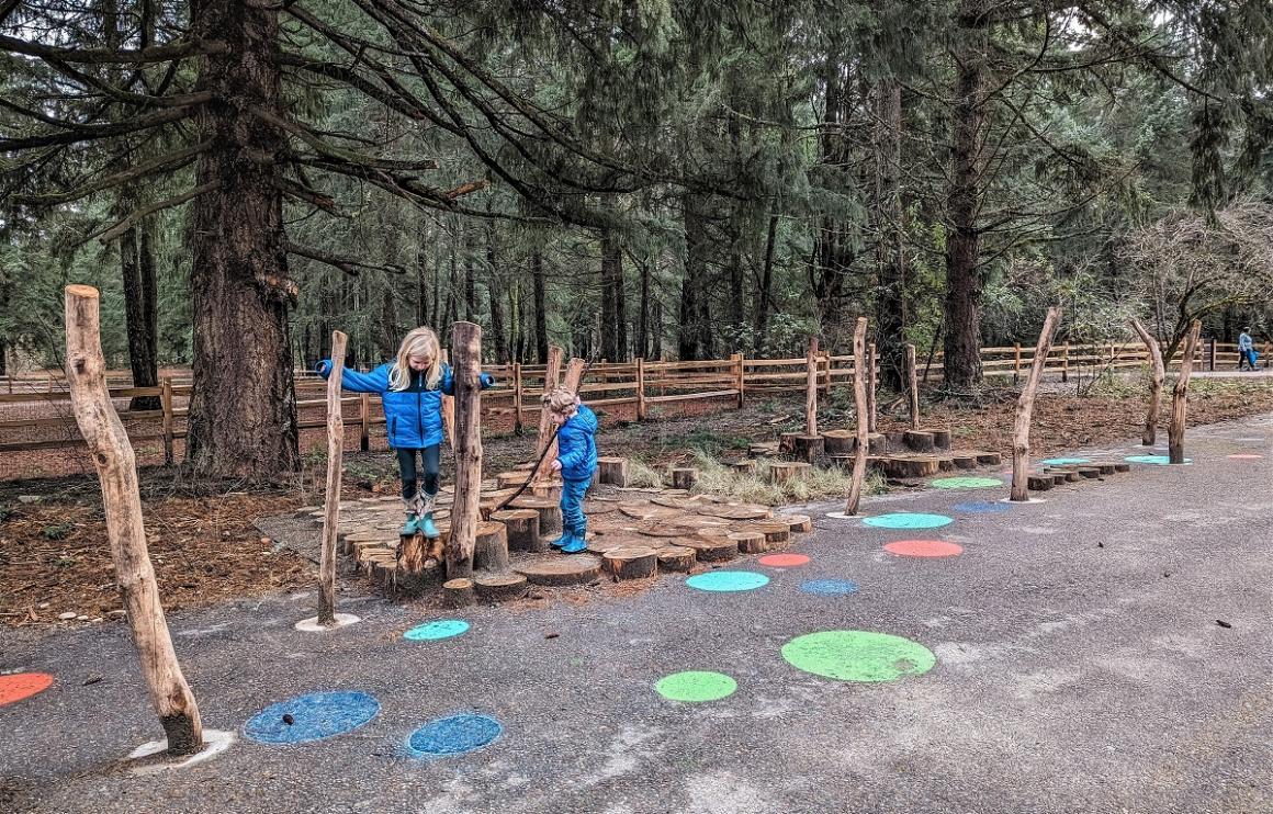 Kids playing on nature play stumps and trees and colored circles at Pause and Play play area at updated Swan Creek Park