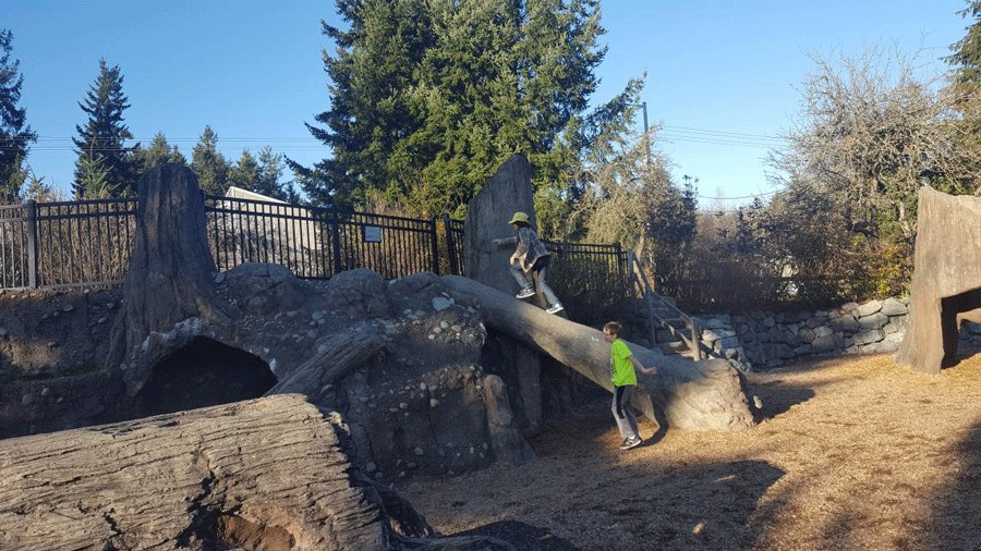 kids playing on the playground at Tacoma Nature Center