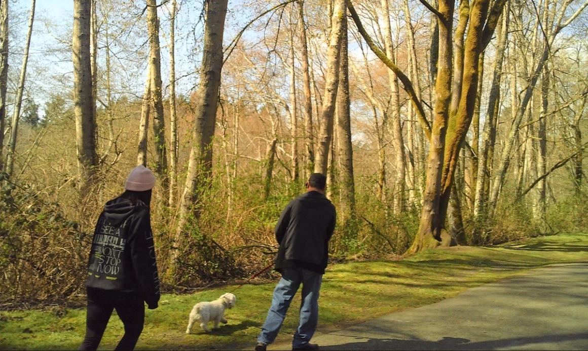 walking-in-titlow-park-agents-of-discovery-nature-app-tacoma-fun-kids-families