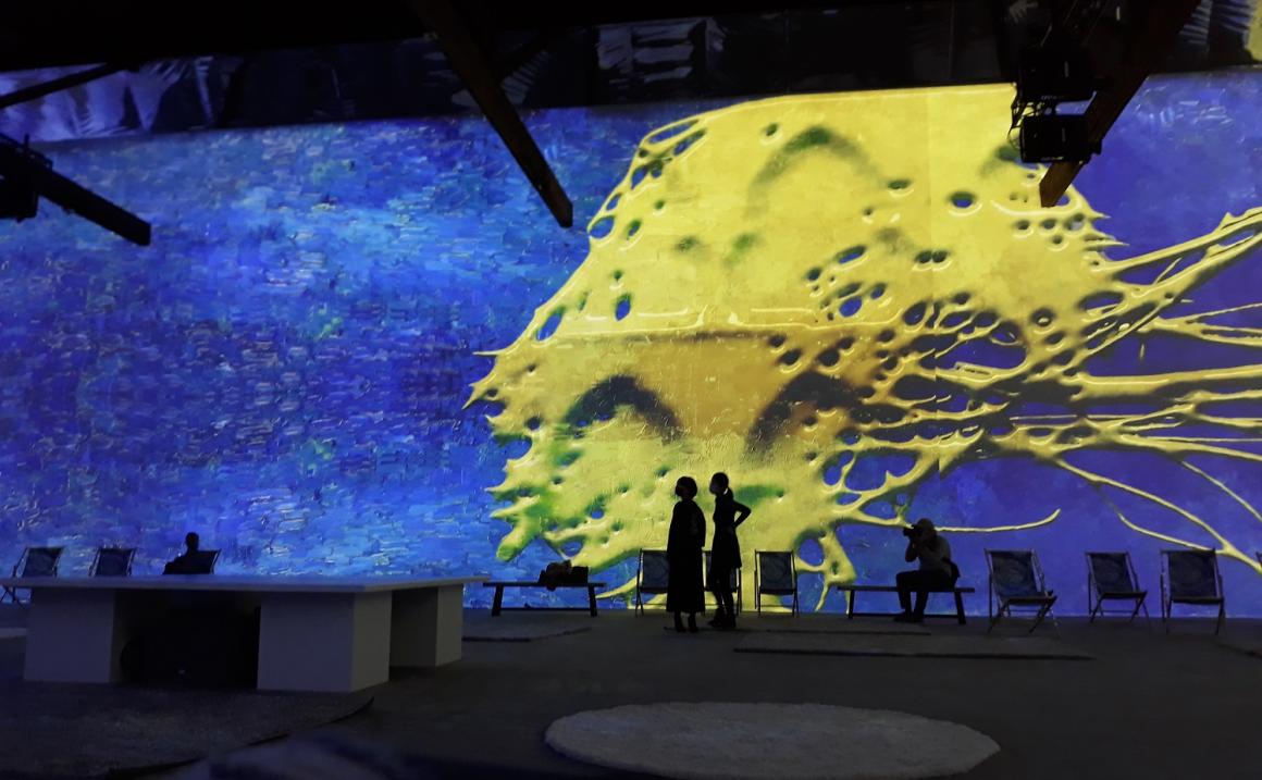 Two visitors to Van Gogh the immersive experience stand in front of a projection of art works on the wall