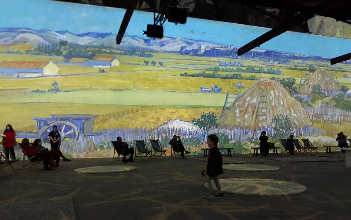 Visitors to Van Gogh The Immersive Experience in Seattle view projections of the artist’s works on the walls of a large room