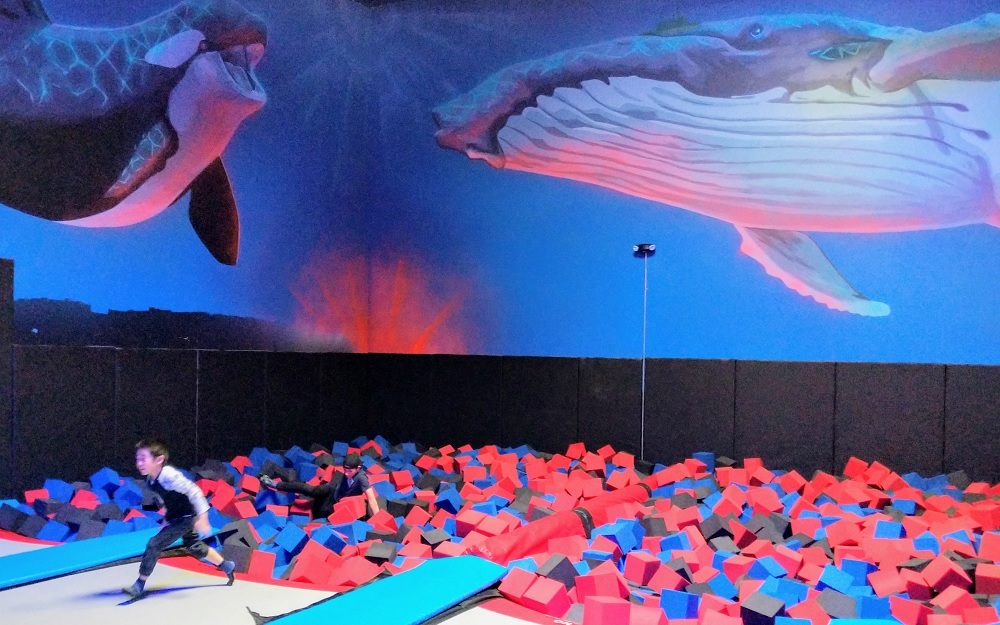 Vertex-Arena-trampoline-park-fun-for-kids-and-families
