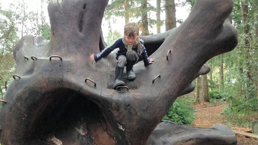"Young boy climbing on the Wood Wave"