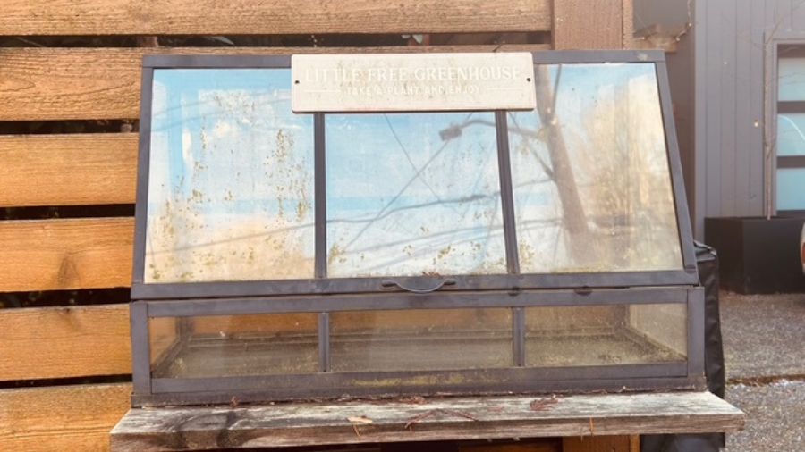 little free greenhouse