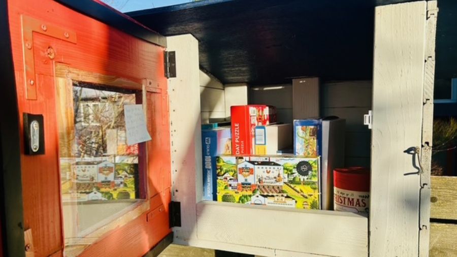 little free puzzle library