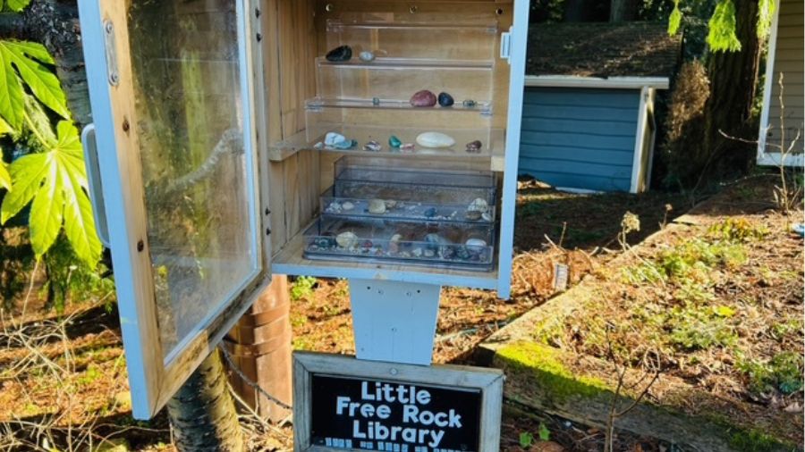 little free rock library
