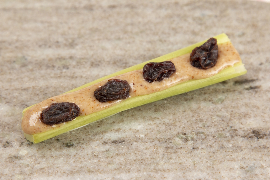 cinnamon ants on a log