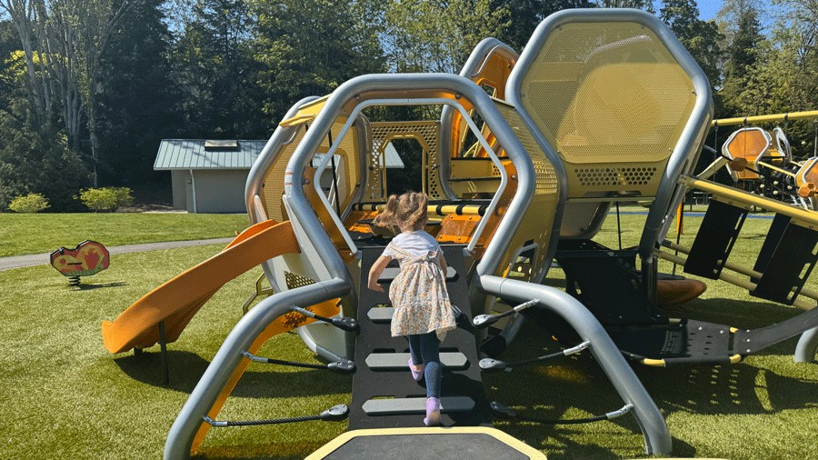 honeycombs at hidden valley park playground in Bellevue