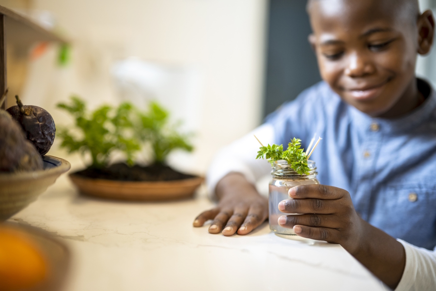 a boy holding a small plant in a jar of water and smiling