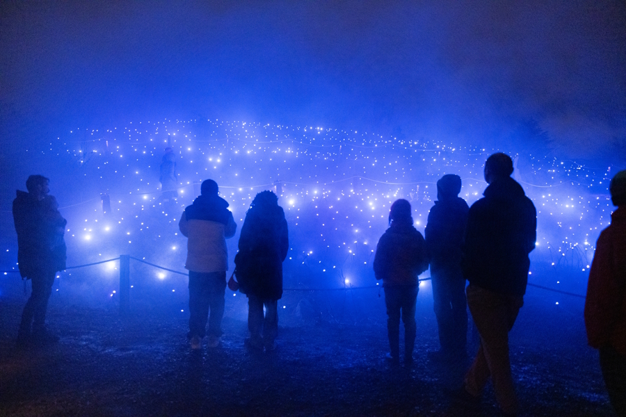 people looking at blue lights at Astra Lumina