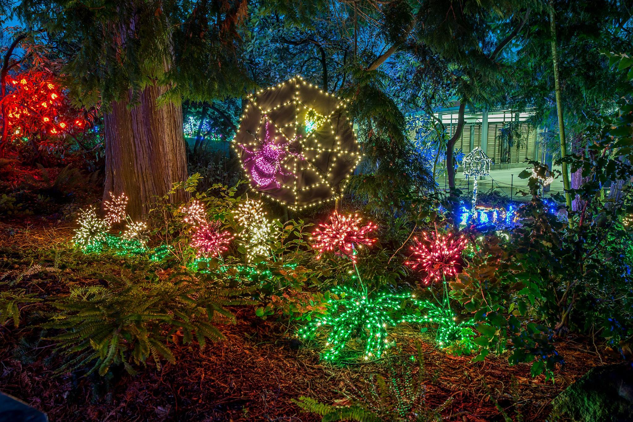Garden d’Lights at the Bellevue Botanical Garden Seattle Area Family