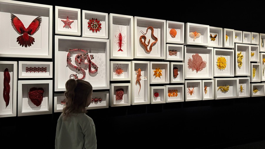 rainbow wall at the exhibit