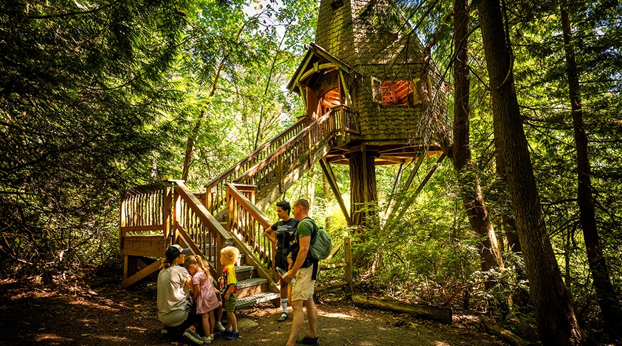 A family stops trailside at a treehouse at Islandwood on Father's Day.