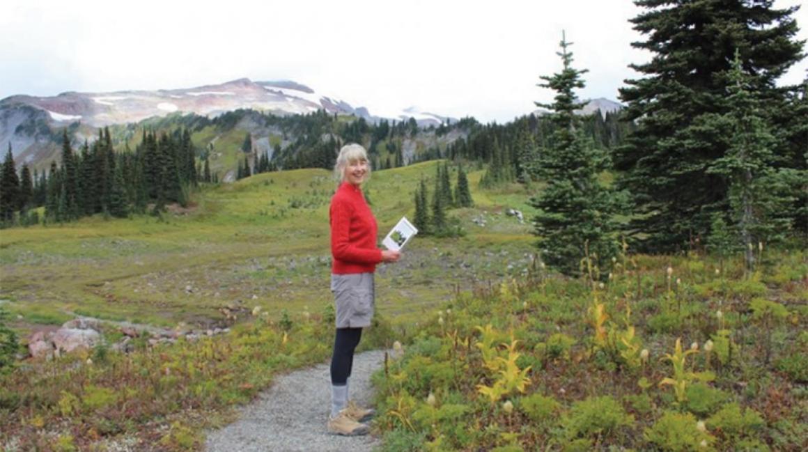 A volunteer checks on the status of plants near Mount Rainier. 