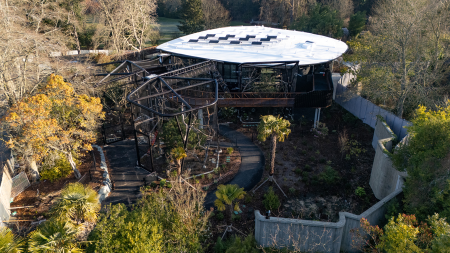 aerial view of the new woodland park zoo forest trailhead exhibit