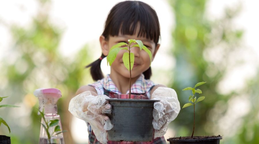 A young girls holds a newly planted seedling for Earth Day.