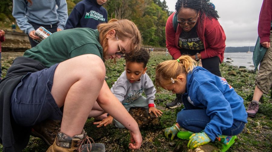Kids and parents crouch to see sea creatures at low tide with a naturalist.