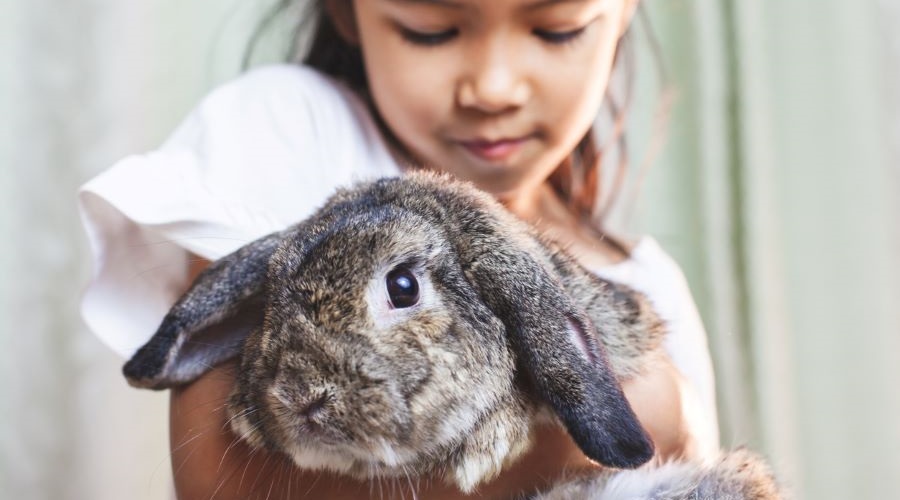 Free Things to Do in Seattle: February 2025 | ParentMap