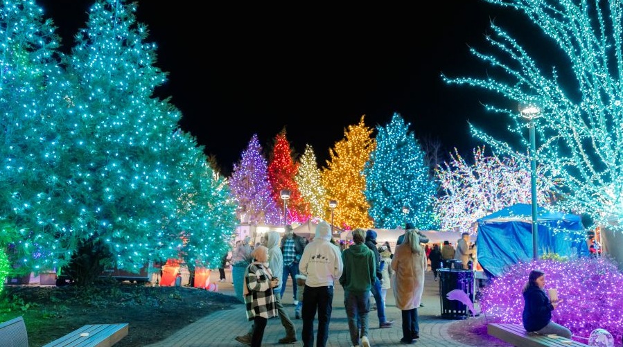 A crowd enjoys colored lights as they stroll the Tulalip Lights display.