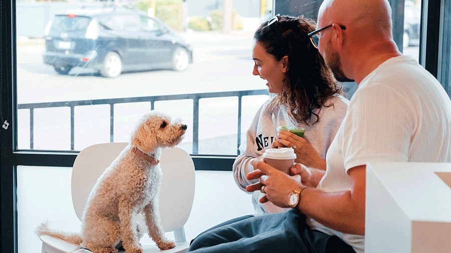 a family smiling at a dog at Coby's Cafe in Seattle