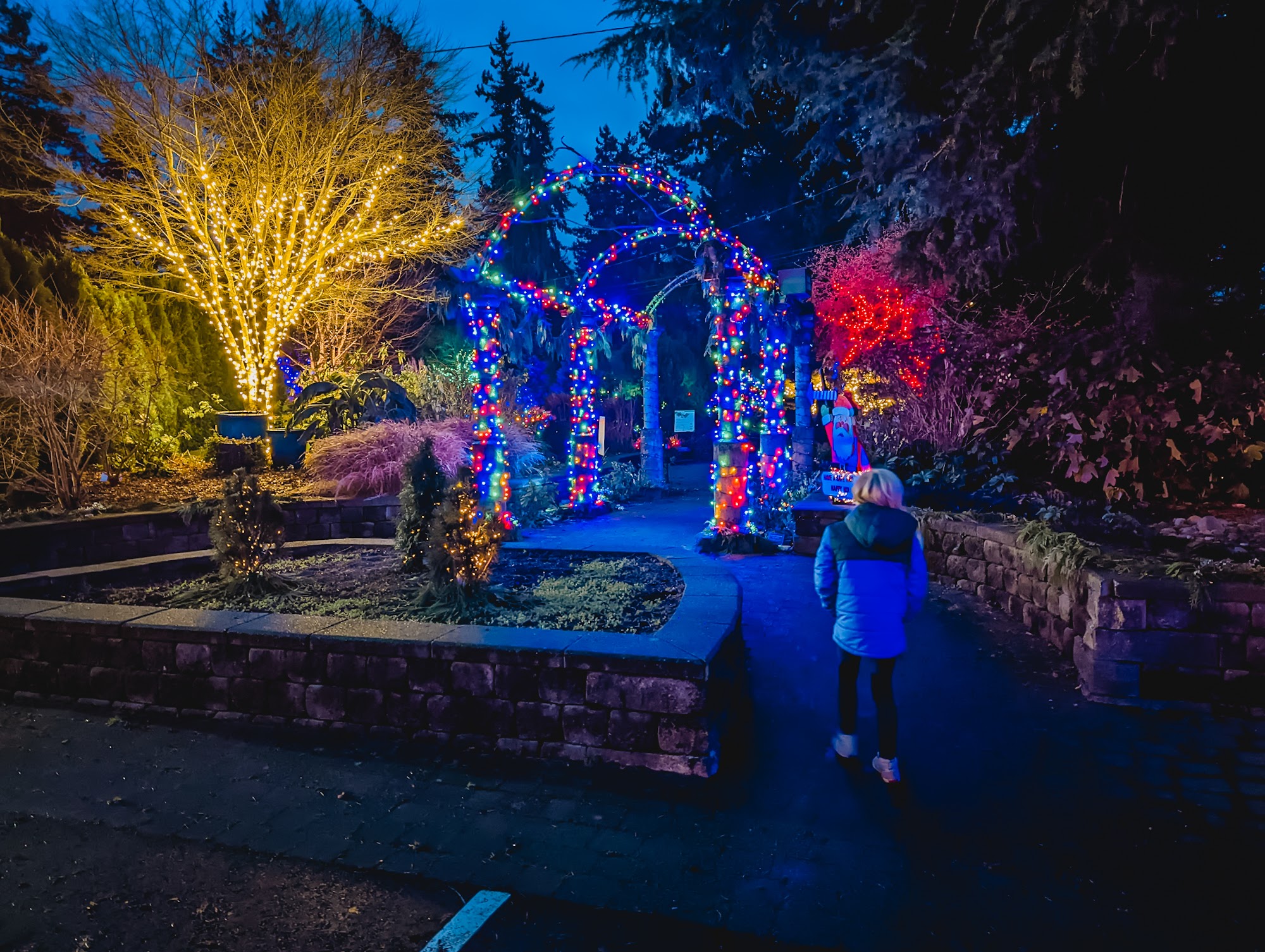 A child walks among the lights at Everegreen Arboretum's Wintertide Lights display in Everett, Wash., near Seattle, among free fun for families this holiday season