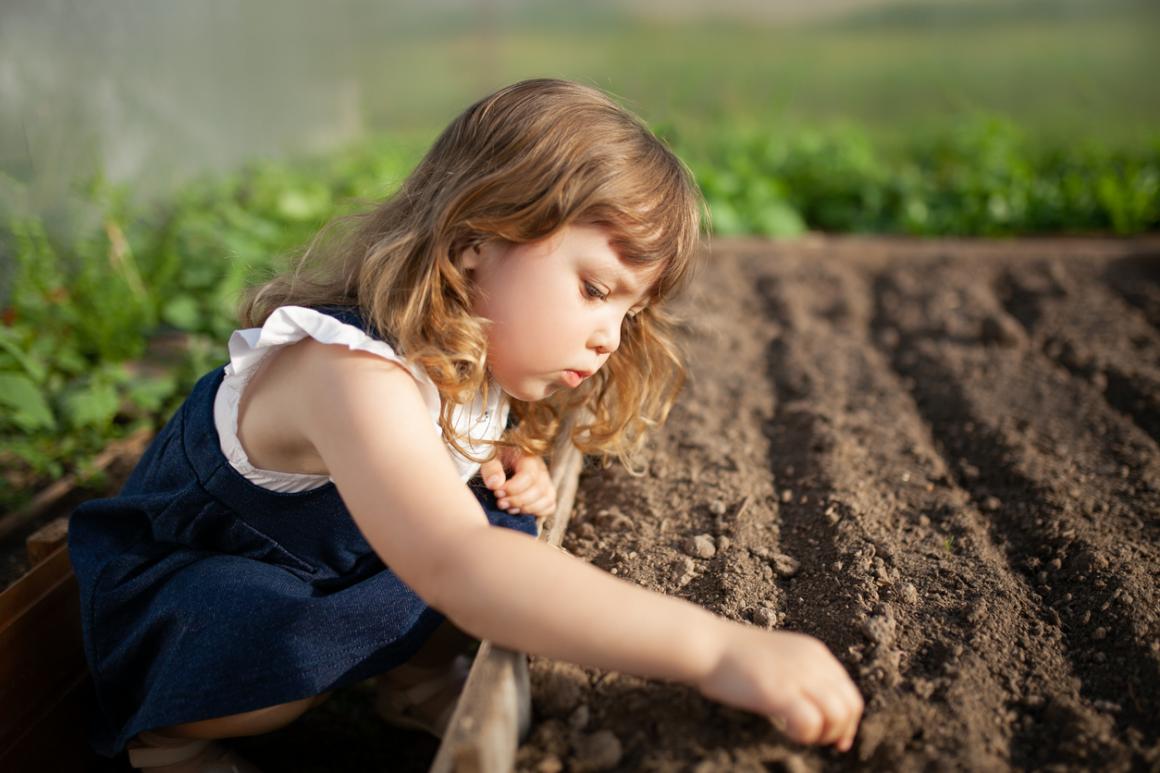 little girl planting seeds