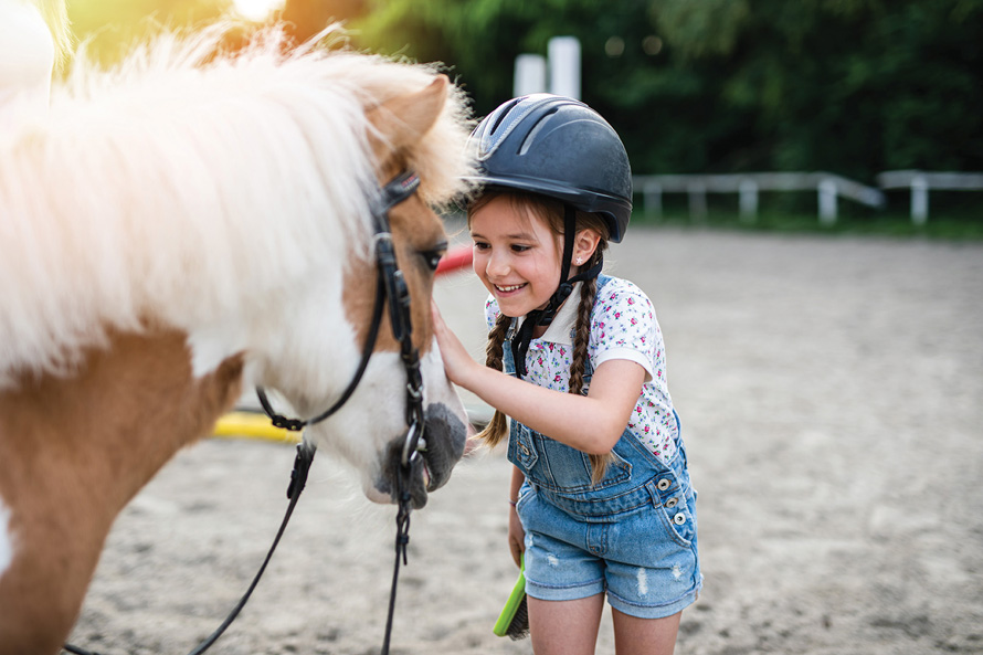 little girl brushing a pony