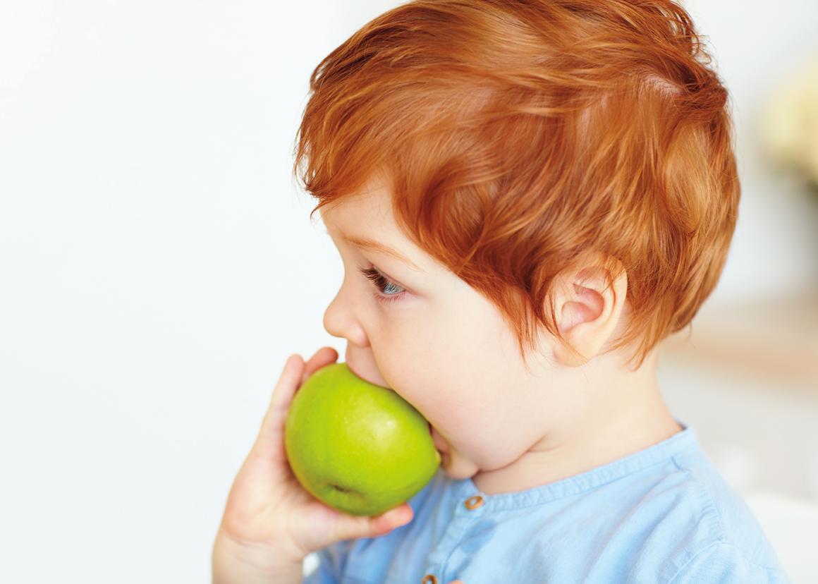 boy eating an apple