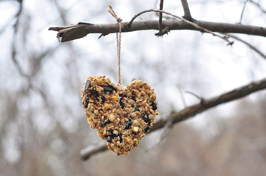 heart shaped DIY bird feeder