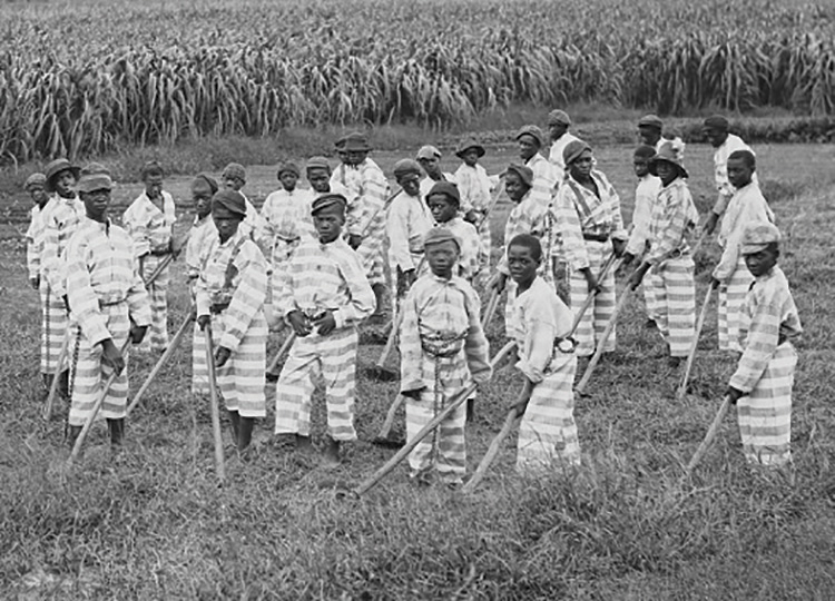 Juvenile convicts at work in the fields