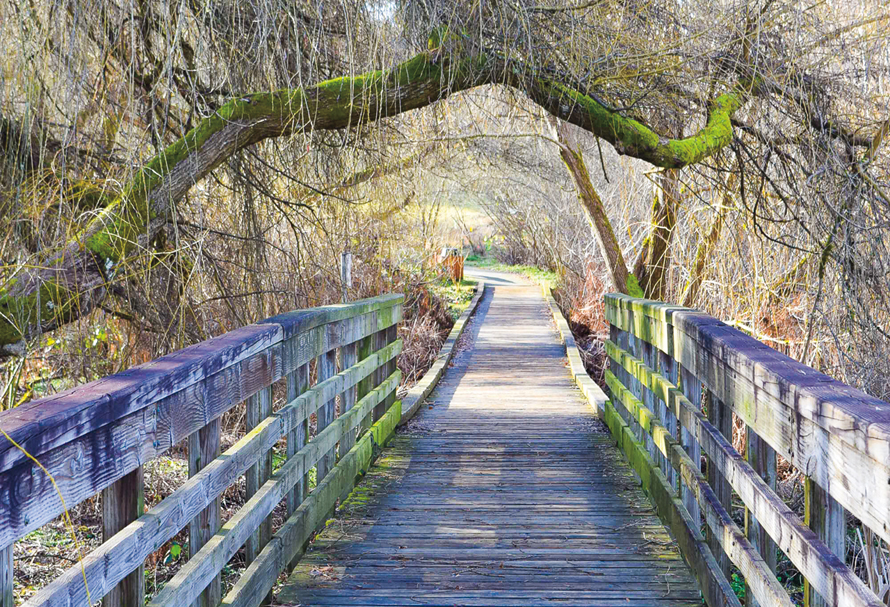 Kirkland's Juanita Park