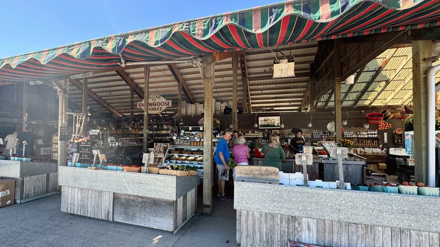snow goose produce market opens in time for the daffodil festival in Skagit Valley