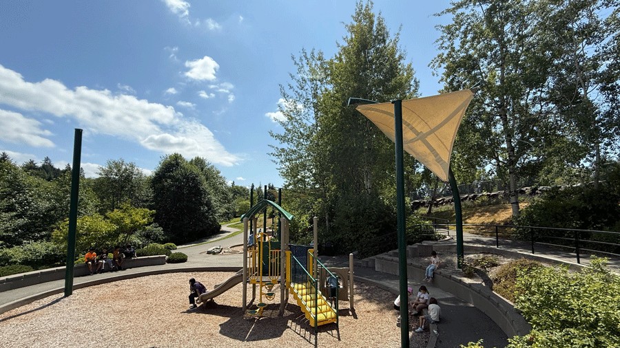 Lewis Creek Park in Bellevue on a sunny day with shade sails protecting the playground