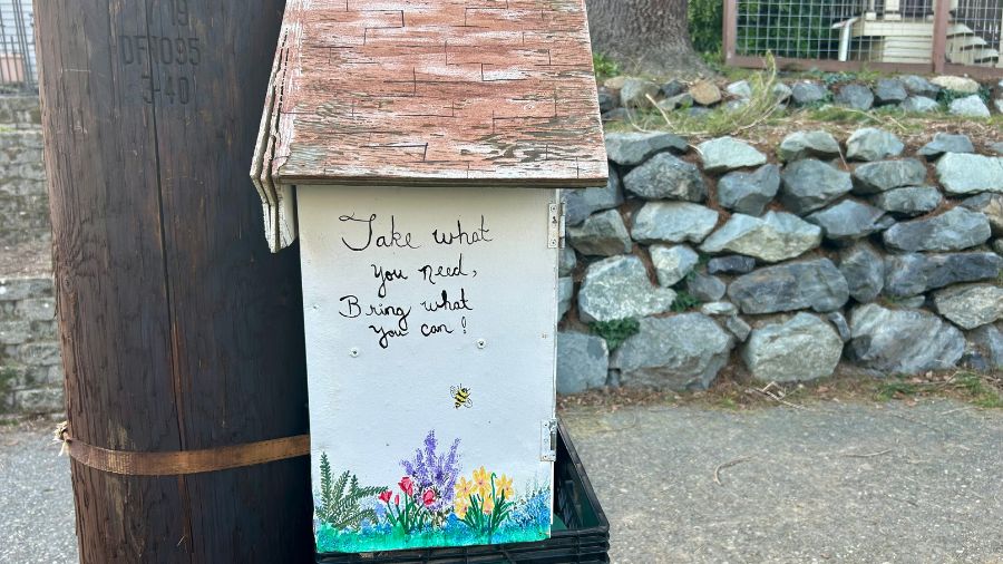 the little-free concept