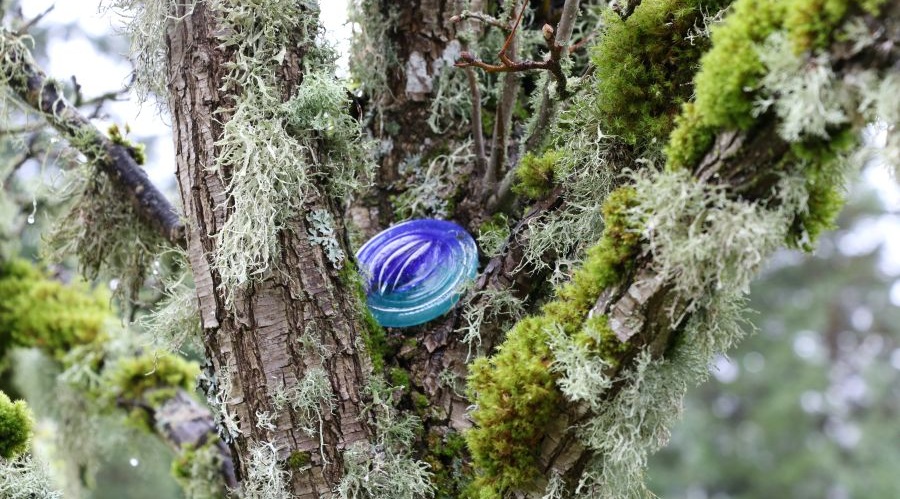 Blue Monkeyshines glass art hunt at Tacoma Parks.