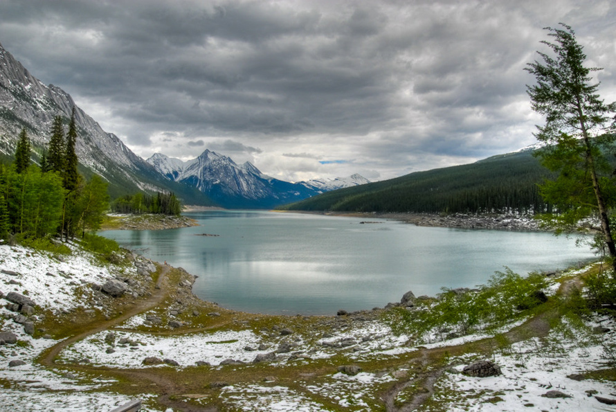 maligne