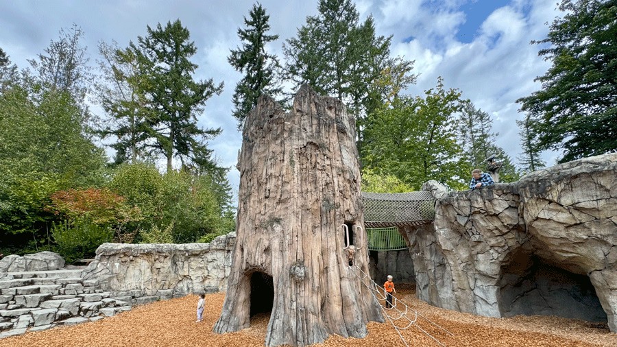 hollowed out tree trunk with climbing rope at Kids’ Trek playground