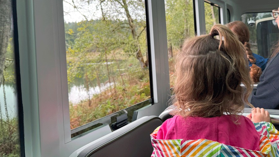 young child looking out the window of the electric tram on a tour of Northwest Trek