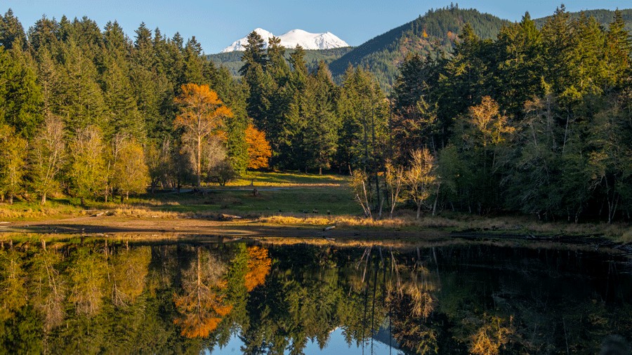 lake view of Northwest Trek free-roaming area on a fall day