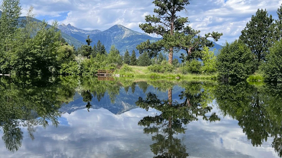 Iwetemlyakin State Heritage Site with water and mountain views and trees