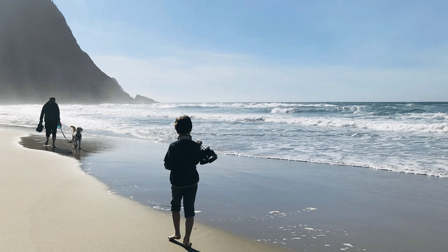 oregon coast beach, accessed by the hobbit trail