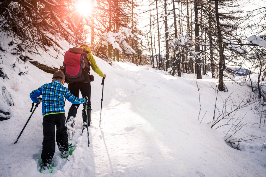 parent and child snowing together in the forest