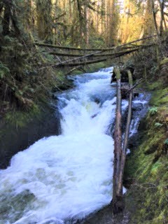 porter-falls-best-family-waterfall-hikes